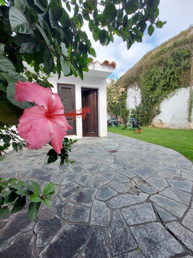 Coya Hostel Salta Ngoại thất bức ảnh